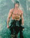 This is an image of 228386 Sylvester Stallone Photograph & Poster