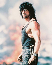 This is an image of 228395 Sylvester Stallone Photograph & Poster