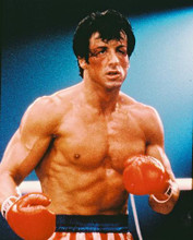 This is an image of 228396 Sylvester Stallone Photograph & Poster