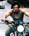 This is an image of 230236 Sylvester Stallone Photograph & Poster