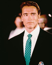 This is an image of 233739 Arnold Schwarzenegger Photograph & Poster