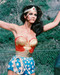 This is an image of 234012 Lynda Carter Photograph & Poster