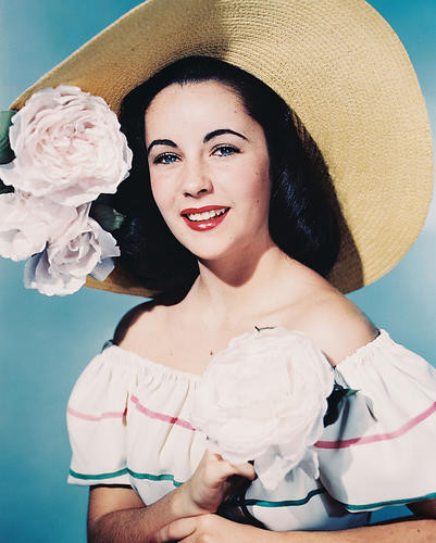 This is an image of 235205 Elizabeth Taylor Photograph & Poster