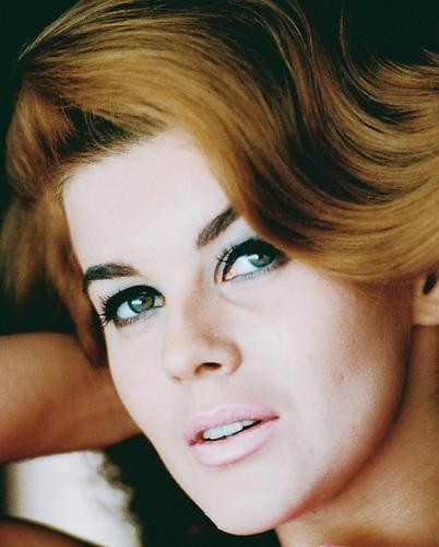 This is an image of 240749 Ann-Margret Photograph & Poster