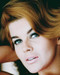 This is an image of 240749 Ann-Margret Photograph & Poster