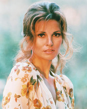 This is an image of 241054 Raquel Welch Photograph & Poster