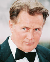 This is an image of 242284 Martin Sheen Photograph & Poster