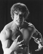 This is an image of 170419 Lou Ferrigno Photograph & Poster