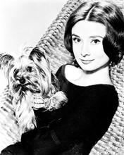 This is an image of 170493 Audrey Hepburn Photograph & Poster