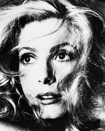 This is an image of 170541 Catherine Deneuve Photograph & Poster