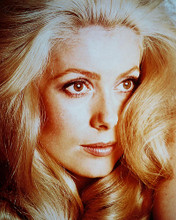 This is an image of 243323 Catherine Deneuve Photograph & Poster