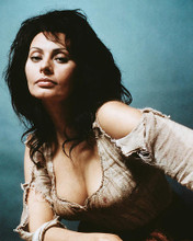 This is an image of 243407 Sophia Loren Photograph & Poster