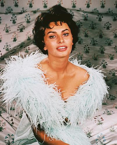 This is an image of 243408 Sophia Loren Photograph & Poster