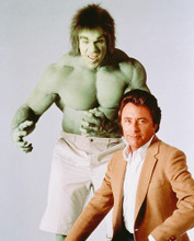 This is an image of 244343 The Incredible Hulk Photograph & Poster
