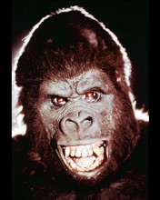 This is an image of 244887 King Kong Photograph & Poster