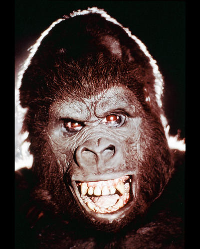 This is an image of 244887 King Kong Photograph & Poster