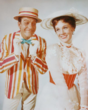 This is an image of 246780 Julie Andrews & Dick Van Dyke Photograph & Poster