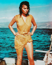 This is an image of 247437 Sophia Loren Photograph & Poster