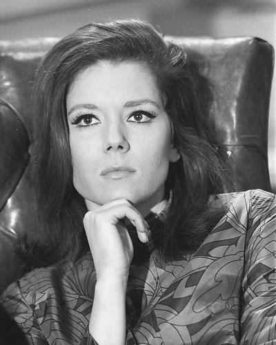 This is an image of 171203 Diana Rigg Photograph & Poster