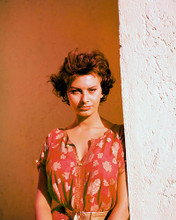 This is an image of 248234 Sophia Loren Photograph & Poster
