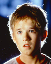 This is an image of 248269 Haley Joel Osment Photograph & Poster