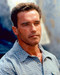 This is an image of 248320 Arnold Schwarzenegger Photograph & Poster