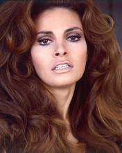 This is an image of 248381 Raquel Welch Photograph & Poster