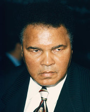 This is an image of 248473 Muhammad Ali Photograph & Poster