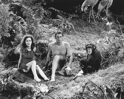 This is an image of 171338 Tarzan Photograph & Poster