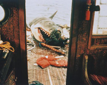 This is an image of 243692 Jaws Photograph & Poster