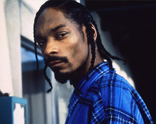 This is an image of 247927 Snoop Doggy Dogg Photograph & Poster