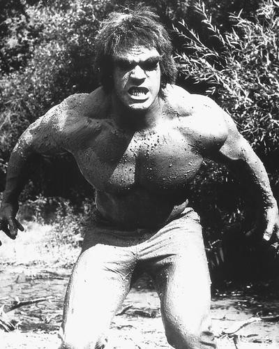 This is an image of 171433 Lou Ferrigno Photograph & Poster