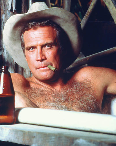 This is an image of 250308 Lee Majors Photograph & Poster