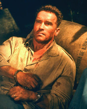 This is an image of 250864 Arnold Schwarzenegger Photograph & Poster