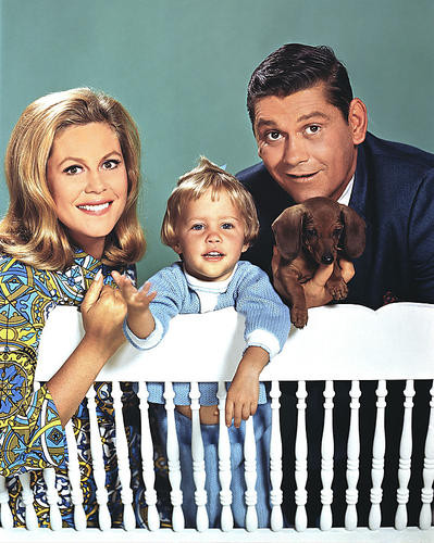 This is an image of 253704 Bewitched Photograph & Poster