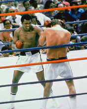 This is an image of 254247 Muhammad Ali Photograph & Poster