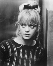 This is an image of 172678 Goldie Hawn Photograph & Poster