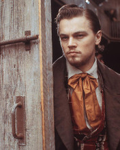 This is an image of 255244 Leonardo Dicaprio Photograph & Poster