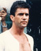 This is an image of 255932 Mel Gibson Photograph & Poster