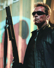 This is an image of 256550 Arnold Schwarzenegger Photograph & Poster