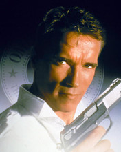 This is an image of 256554 Arnold Schwarzenegger Photograph & Poster