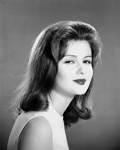 movie market photograph poster pamela tiffin 173539 movie market photograph poster pamela tiffin 173539