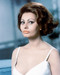 This is an image of 258631 Sophia Loren Photograph & Poster