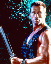 This is an image of 258713 Arnold Schwarzenegger Photograph & Poster