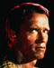 This is an image of 259143 Arnold Schwarzenegger Photograph & Poster