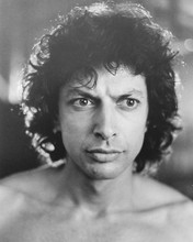 This is an image of 173721 Jeff Goldblum Photograph & Poster