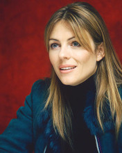 This is an image of 261242 Elizabeth Hurley Photograph & Poster