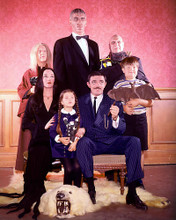 This is an image of 262690 The Addams Family Photograph & Poster