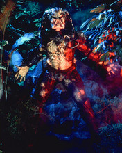 This is an image of 263151 Predator Photograph & Poster