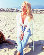 This is an image of 263957 Pamela Anderson Photograph & Poster